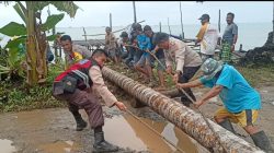 Polsek Pulau Laut Barat Gerak Cepat Bersihkan Pohon Tumbang