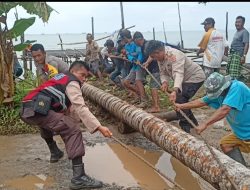 Polsek Pulau Laut Barat Gerak Cepat Bersihkan Pohon Tumbang