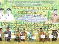 Bupati Kotabaru Lakukan Panen Raya Padi Sawah di Desa Berangas Kecamatan Pulau Laut Timur
