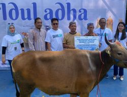 Idul Adha 1445 H, Pelindo Kembali Berbagi Hewan Qurban