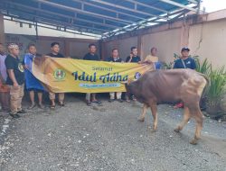 Idul Adha 1445 H, Hasnur Group Bagikan Ratusan Hewan Qurban, PWI Kalsel Turut Kebagian