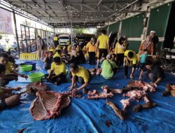 Idul Adha 1445 H, Partai Golkar Banjarmasin Salurkan 30 Ekor Sapi Kurban