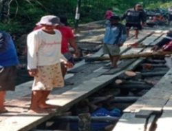 Masiarah Amin Turun Langsung Bantu Perbaiki Jembatan Penghubung antar Desa di Tanjung Semalantakan