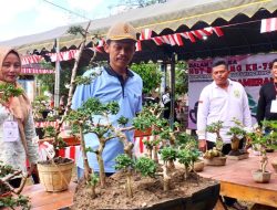 Semarak HUT RI ke-79 di Desa Sumber Rezeki Digelar dengan Pameran Bonsai dan Lahirkan Adanya PPBI Balangan