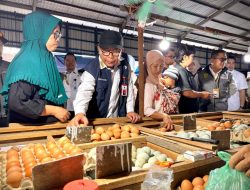 Pemprov-TPID Kalsel Sidak Pasar dan Pusat Pembelajaran di Banjarmasin Pastikan Harga Sembako Normal