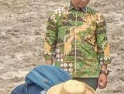 Supianor Dukung Penanaman Padi di Desa Juai