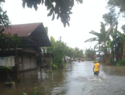 Diguyur Hujan Deras, Desa Murung Abuin Terendam Banjir