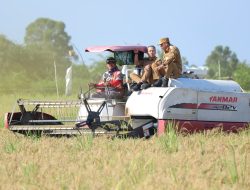 Panen Raya Serentak di 14 Provinsi Bersama Presiden RI, Pj Sekdaprov Kalsel Pimpin Panen Raya di Barito Kuala