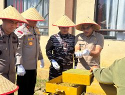 Dukung Ketahanan Pangan Nasional, Polres Kotabaru Gelar Panen Raya Jagung