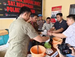 Satresnarkoba Polres Kotabaru Musnahkan Barang Bukti Narkotika dalam Dua Perkara