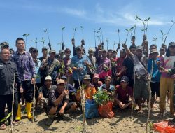 Sepanjang 2025, Pemprov Kalsel Rehabilitasi Seluas Hampir 8.000 Hektare Tanaman Mangrove