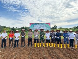 Polres Kotabaru Gelar Penanaman Jagung Serentak Kuartal III, Wujud Nyata Dukung Ketahanan Pangan Nasional