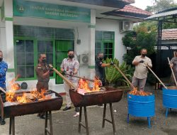 Kejari Balangan Tegas Berantas Narkotika, Puluhan Barang Bukti Dimusnahkan