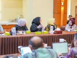 Pansus IV DPRD Kalsel Gandeng Kemenkes Bahas Raperda Penyelenggaraan Kesehatan