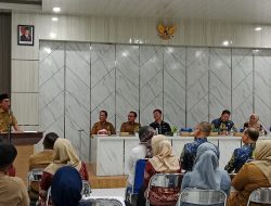 Wakil Bupati Balangan Dorong Peningkatan Mutu Layanan Kesehatan Ibu dan Anak