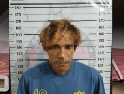 Pengedar Sabu di Lampihong Dibekuk Polres Balangan