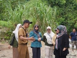 Ketua DPRD Balangan Tinjau Potensi Wisata Alam Batu Ajung