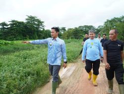 Wali Kota Banjarmasin Tinjau Saluran Air TPA Basirih dan Tegaskan Komitmen Pengelolaan Sampah Berkelanjutan