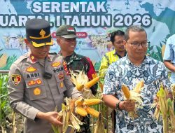 Dorong Swasembada Pangan 2026, Polres Kotabaru Panen Raya Jagung