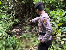 Geger, Warga Desa Baroqah Temukan Bayi yang Mulai Membusuk di Samping Rumah