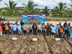 Polres Batola dan PT Tiga Daun Kolaborasi Tanam Jagung Serentak Kuartal I 2026