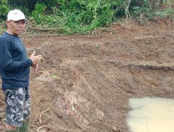 Pasutri di Sarang Tiung Hibahkan Tanah Demi Jalan Tani, Waduk, dan Akses Wisata
