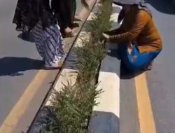 Kenakan Baju Kebaya, Jajaran DLH Kotabaru Turun ke Jalan Bersihkan Sampah