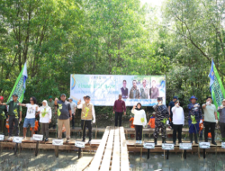 Cegah Abrasi dan Jaga Kelestarian Lingkungan Pesisir, Pemkab Tanbu Tanam Bibit Mangrove di Desa Muara Pagatan