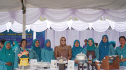 Dorong Pola Makan Bergizi Keluarga, TP-PKK Tanah Bumbu Gelar Lomba Masak Serba Ikan
