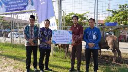 Jelang Idul Adha 1447 H, Bupati Balangan Bagikan 24 Sapi Kurban CSR
