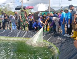 Panen Udang Vaname Perdana di Desa Sungai Limau Jadi Tonggak Baru Perikanan Budidaya di Kabupaten Kotabaru
