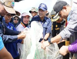 Ketua DPRD Kotabaru Bangga Atas Keberhasilan Petani Tambak Udang Vaname di Desa Sungai Limau
