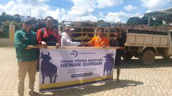 PT SDE Salurkan Puluhan Hewan Kurban ke Desa Lingkar Tambang, Begini Tanggapan Wakil Ketua I DPRD Kotabaru