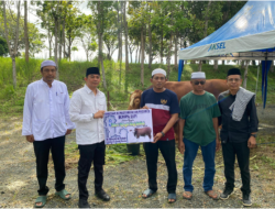 Bupati Andi Rudi Latif Serahkan Sapi Kurban Bantuan Presiden
