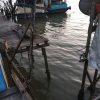 M Lutfi Ali Tegaskan Jembatan RT 16 Sudah Masuk Prioritas Pembangunan