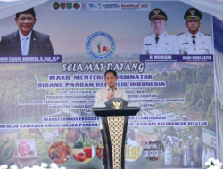 Wamenko Pangan RI Tinjau KSPEAN di Tanah Bumbu, Pemkab Dukung Integrasi Sapi-Kelapa Sawit