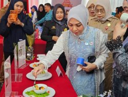 Dukung Penurunan Stunting, Ketua TP PKK Kalsel Hj Fathul Jannah Dorong Kreasi MPASI Tepat Gizi