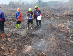 BPBD Balangan Sisir Titik Rawan Karhutla