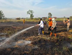 Wagub Kalsel Hasnuryadi Tinjau Lahan Kahutla dan Turun Langsung Lakukan Pemadaman