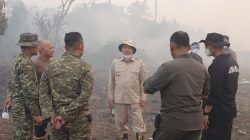 Tinjau Karhutla, Gubernur Muhidin Siapkan Land Clearing 20 Hektare di Sambang Lihum