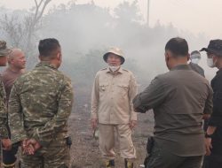 Tinjau Karhutla, Gubernur Muhidin Siapkan Land Clearing 20 Hektare di Sambang Lihum