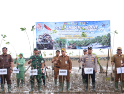 Apresiasi Penanaman 1.000 Mangrove, Bupati Andi Rudi Latif : Simbol Harapan Tanah Bumbu Hijau dan Lestari