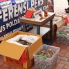 Polda Kalsel Gagalkan Perdagangan 57,8 Kilogram Sisik Trenggiling dan Paruh Rangkong Gading