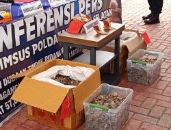 Polda Kalsel Gagalkan Perdagangan 57,8 Kilogram Sisik Trenggiling dan Paruh Rangkong Gading