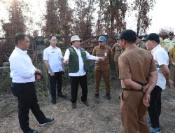 Terus Pantau dan Turun Padamkan Api di Lahan Gambut, Gubernur Muhidin: Karhutla di Lahan Gambut Tak Cukup Dipadamkan dari Permukaan